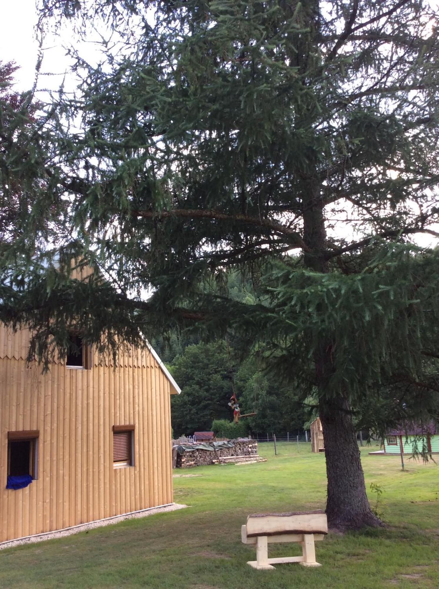 La Gambas Des Bois Villa Saint-Quirin Exterior photo